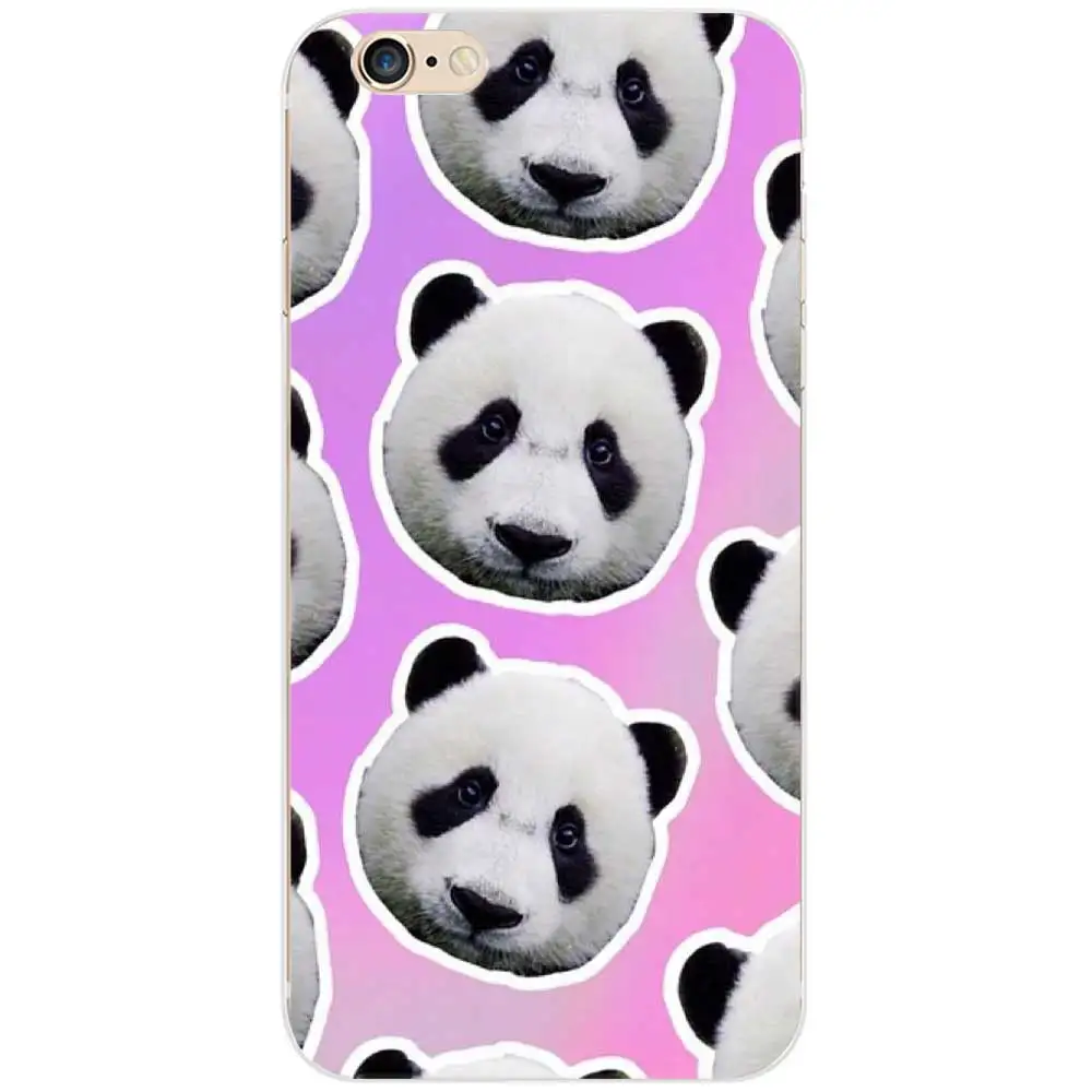 panda1