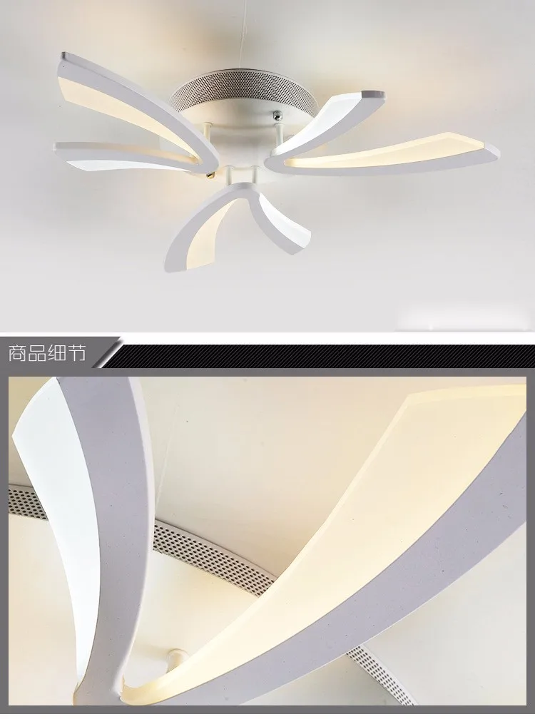 3506158788_1019503663