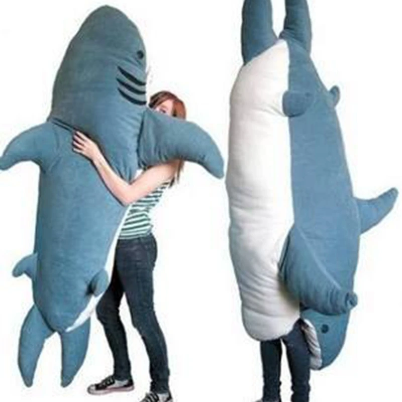 soft shark