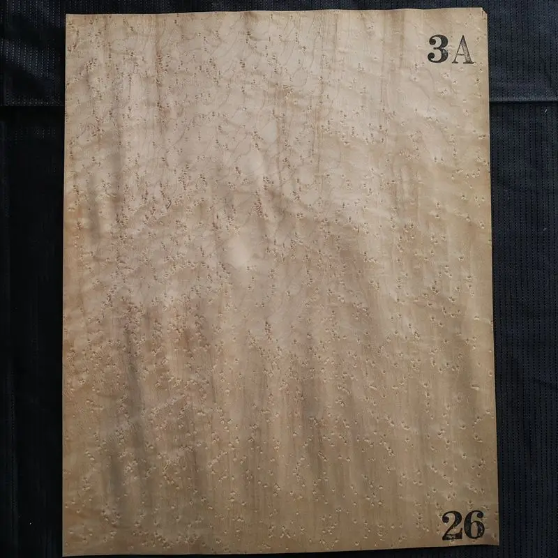 26