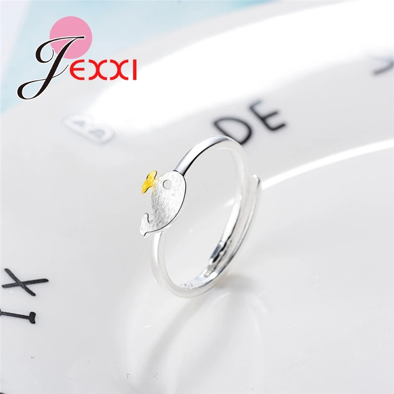 XJZ242 (4)