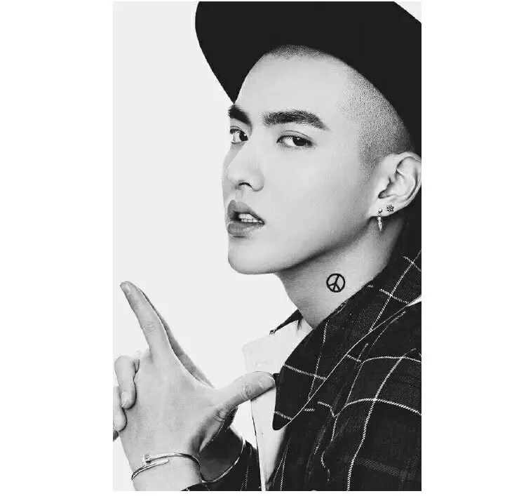 Серьги подвески Wu Yifan Lu Han 1 шт.|Серьги-подвески| |
