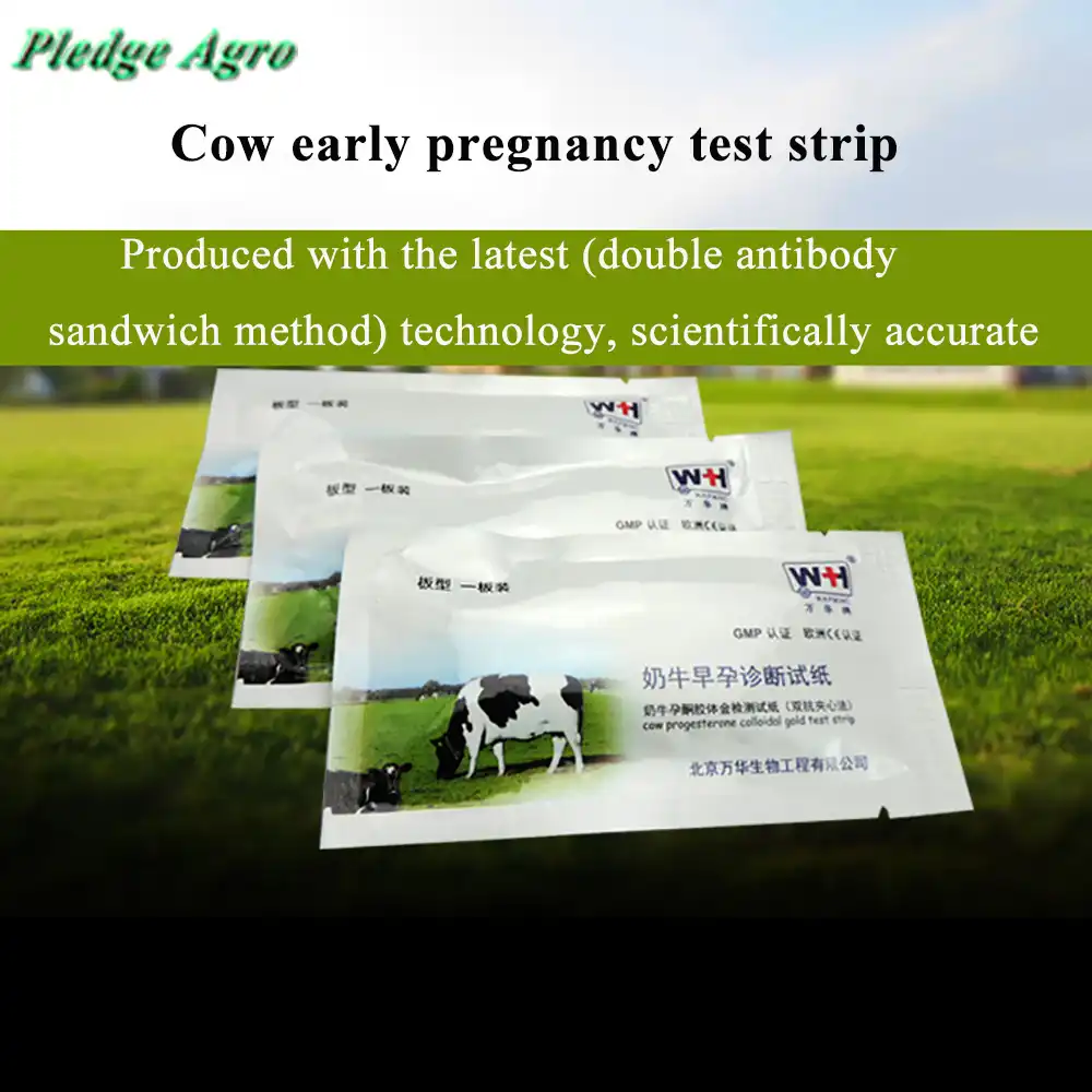 5 PCS Cow Cattle Pregnant Test Strip Paper Pregnancy Detection Teste