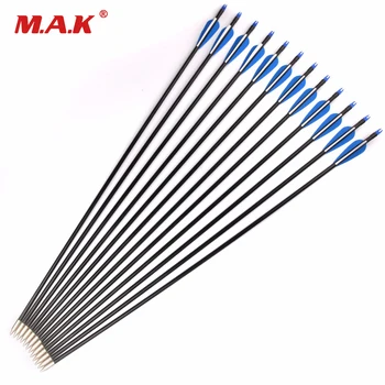 

30 inches Fiberglass Arrows Spine 500 Diameter 8 mm Plastic Feather for Compound Bow Archery Hunting Shooting