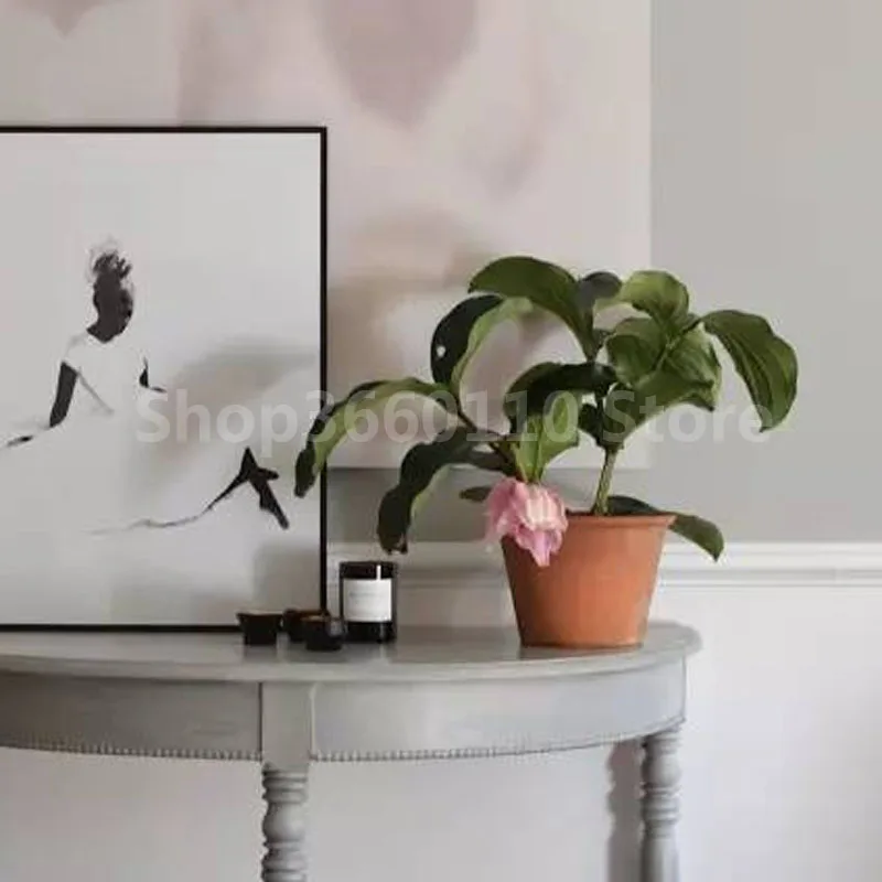 Medinilla Magnifica завод plantas natura бонсай цветочное растение для дома цветок для украшения сада завод 100 шт. семена цветок Medinilla Magnifica завод plantas natura бонсай цветочное растение для дома цветок для украшения сада завод 100 шт. семена цветок