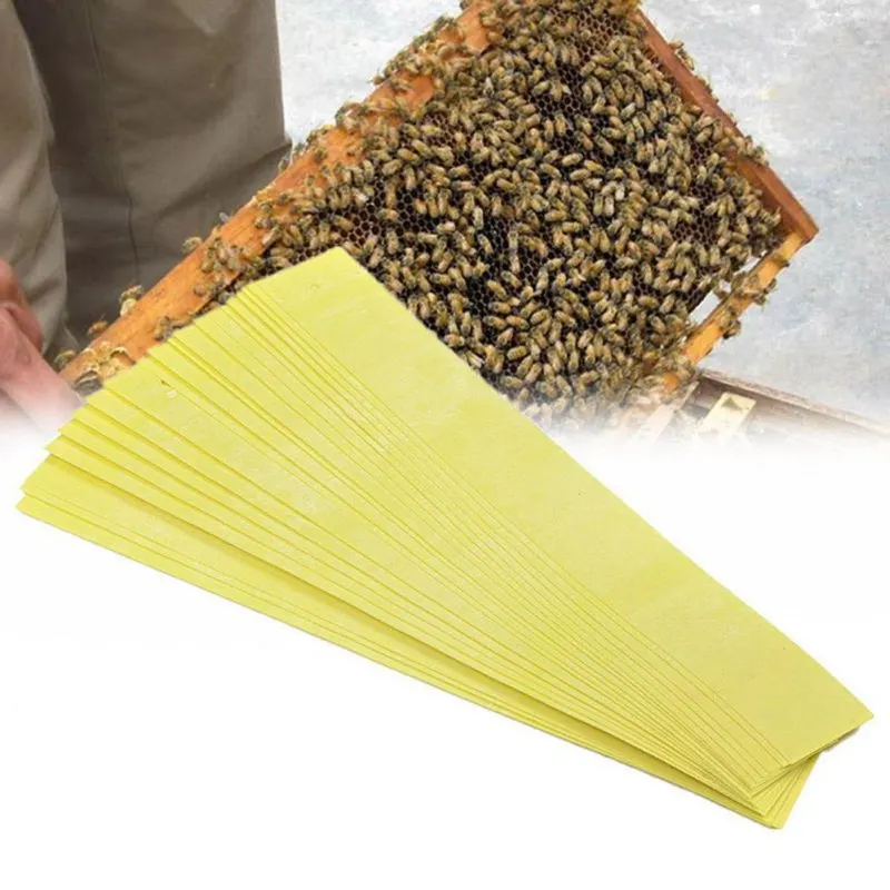 Professional The Bee Mite Strip Acaricide Against Beekeeping Medicine Bee Varroa Mite Killer& Control Beekeeping Farm Medicines