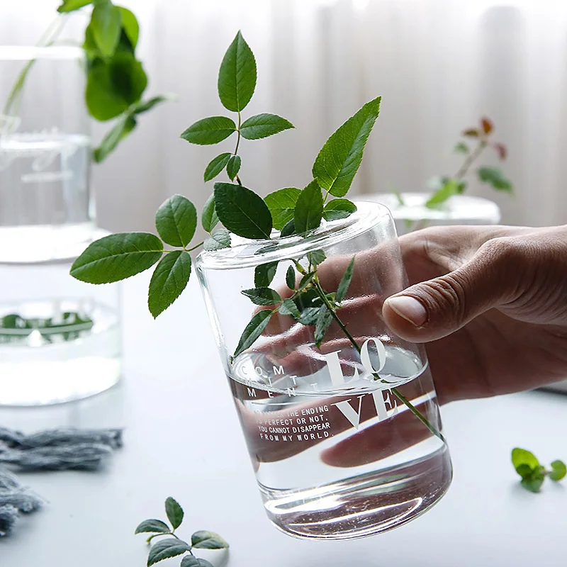 

Nordic Transparent Glass Hydroponic Vase Creative Tabletop Flower Pot Green Plant Bonsai Container Home Decoration Accessories