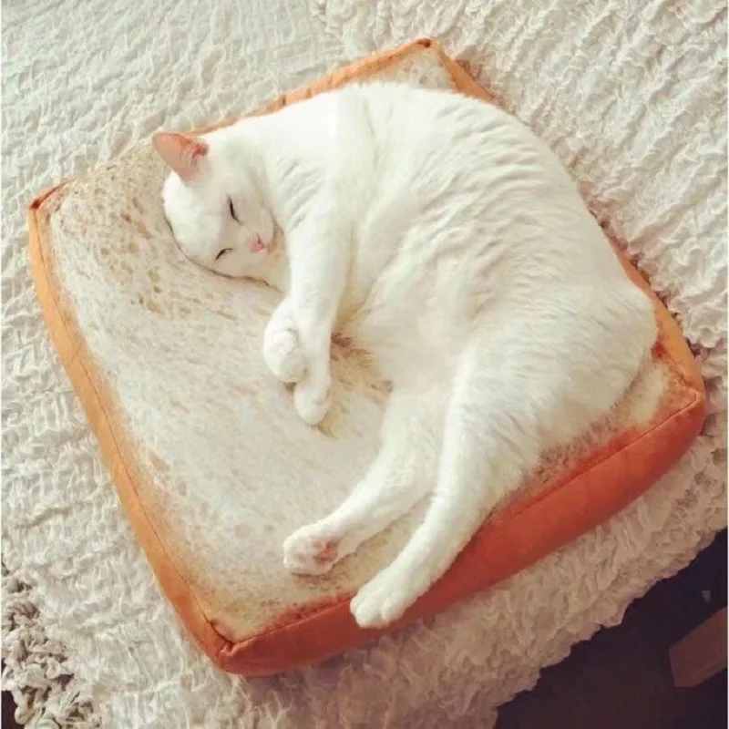 

Hot selling simulation toast slices cat's pillow toast cat's cushion cat's plush toys cat's home colchoneta