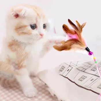 

Cats Toy with Bell Steel Wire Feather Cats Teaser Pet Wand Teasing Cats Sticks LBShipping