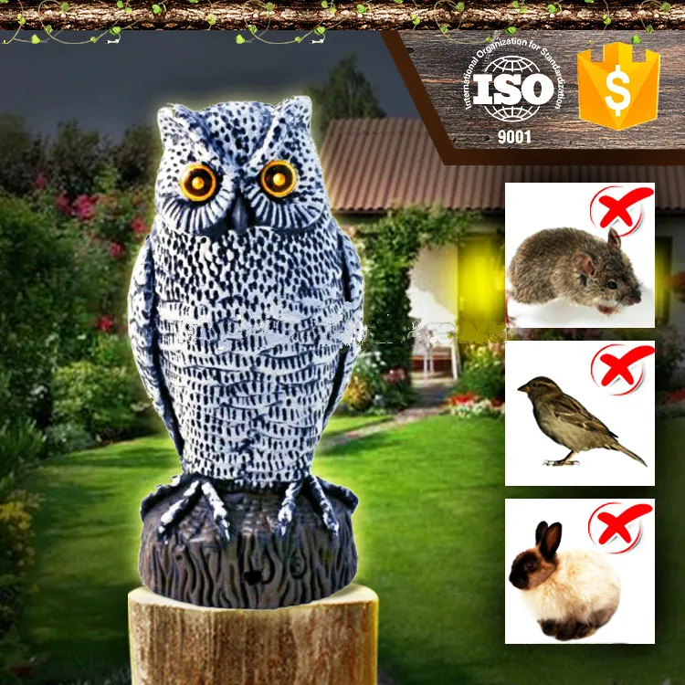 Buy Electric Motion Activated bird animal repeller
