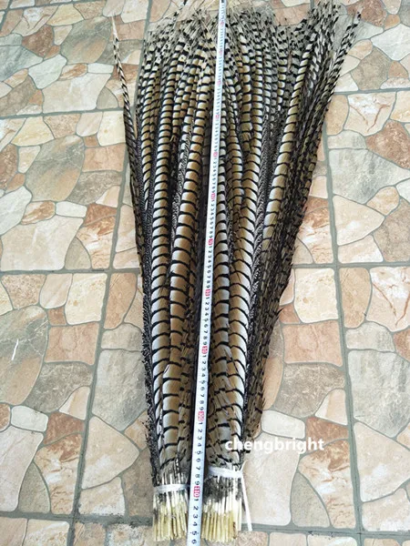 

Wholesale 10pcs original natural Lady Amherst Pheasant Feather 4-48inch/10-120cm Decorative Performance Accessories Carnival