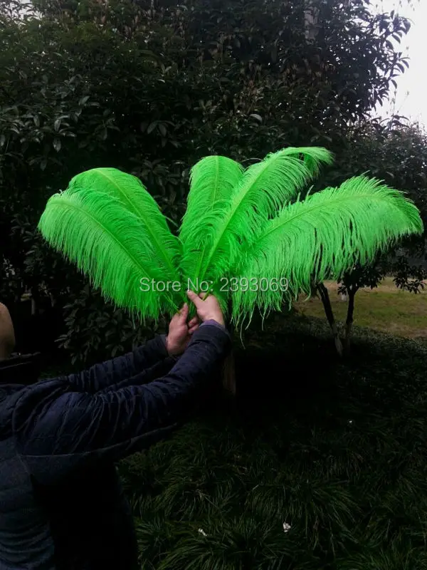 

wholesale! 50pcs High Quality Hard Rod green Ostrich Feather 24-26 in / 60-65cm, Natural Feather Ornament Decoration