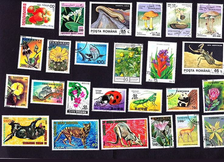 O1CN01va8YIq21ZaYK6KrfU_!!136196999