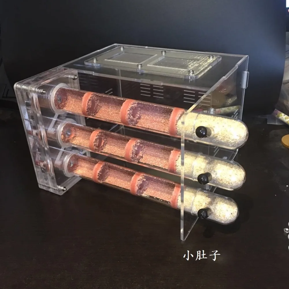 

3pcs Tubes Size 25x200mm Ant Nest House For Kids Home Pet Use Student Scientific Device Toy Ant Acrylic Villa Farm 3 Styles