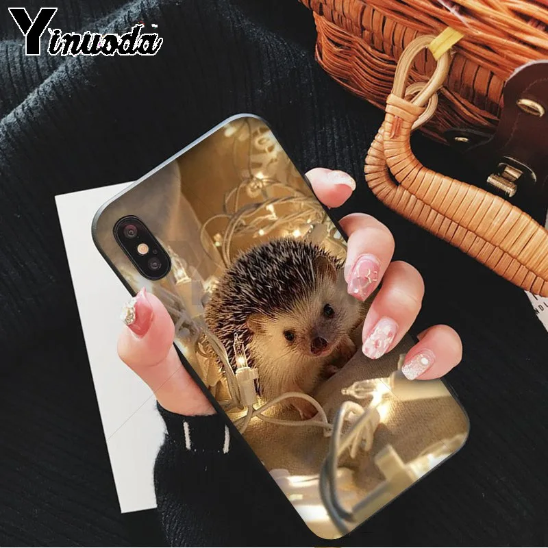 Hedgehog Cute in Teacup Animal Art