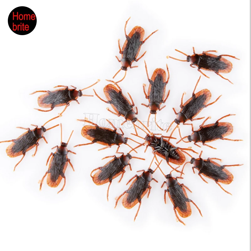 April Fools Day Halloween toys Entire Toy lifelike Simulation Cockroach Decorations HW171 | Дом и сад