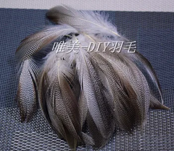 

Free shipping 100pcs 7-11cm natural pheasant plumage feathers for jewelry clothing flapper accessories craft making