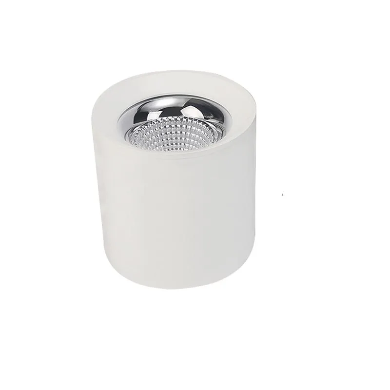 Современный светодиодный потолочный светильник поверхностного монтажа Потолочные светильники AC85-260V 10 Вт 12 Вт 15 Вт 20 Вт 24 Вт настенный светильник для гостиной спальни прихожей - Цвет корпуса: Round white