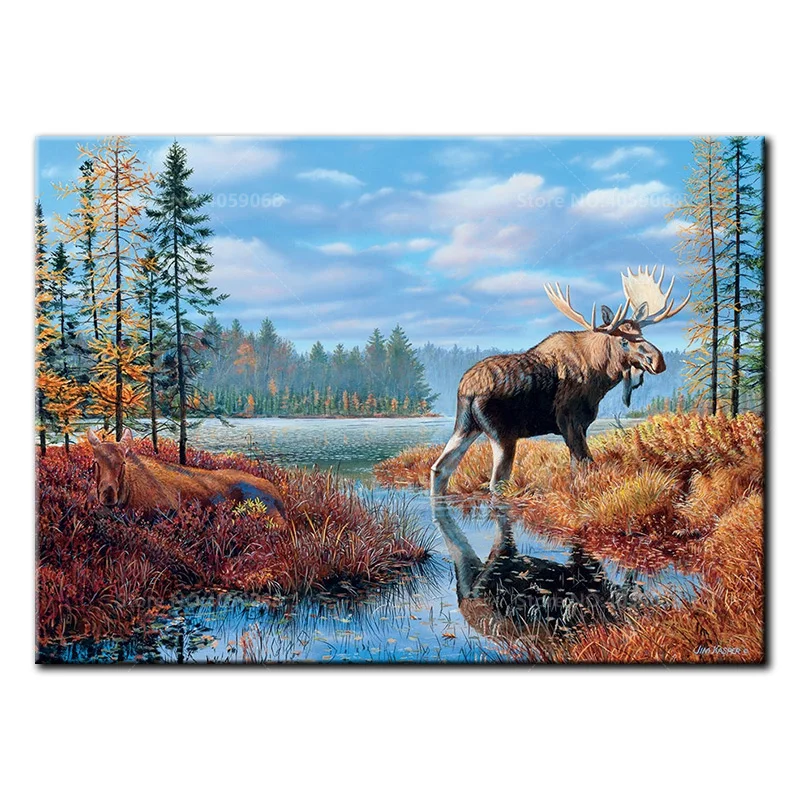 Moose Marsh