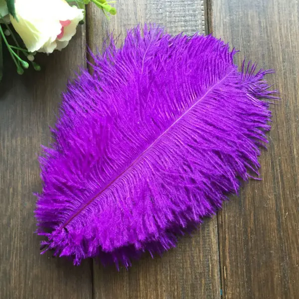 Ostrich feather10