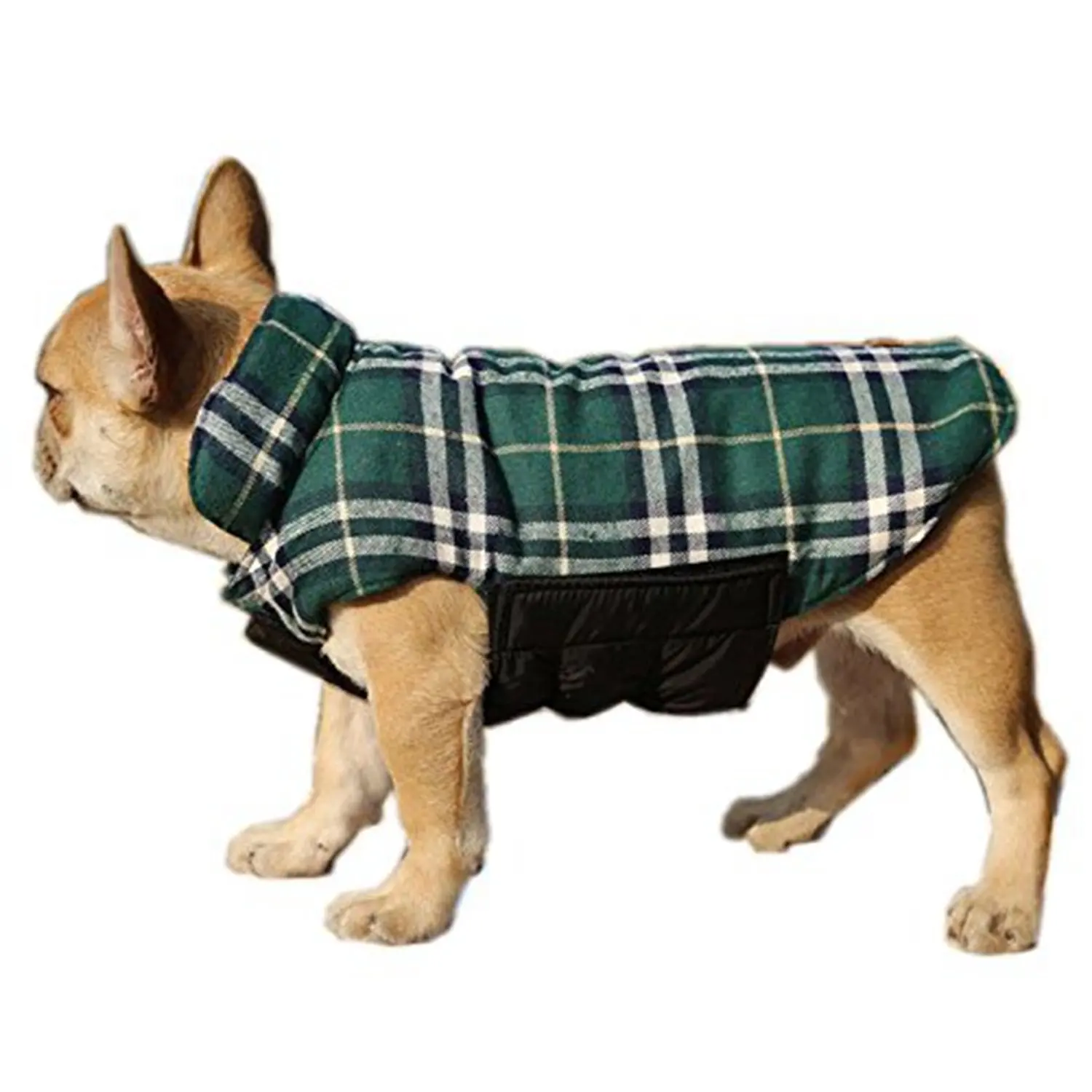 dog winter coat