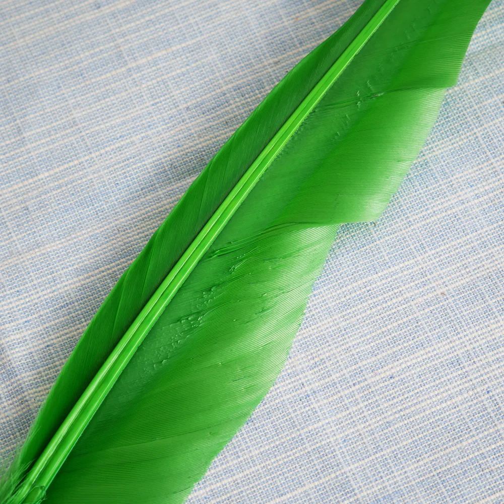 P118002623