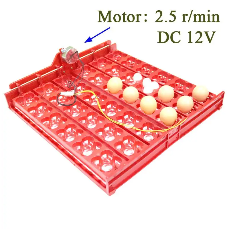 36 яиц/144 яиц птицы автоматический инкубатор инкубационное оборудование утка гусь голубь перепелиные птицы инкубатор оборудование - Цвет: DC12V