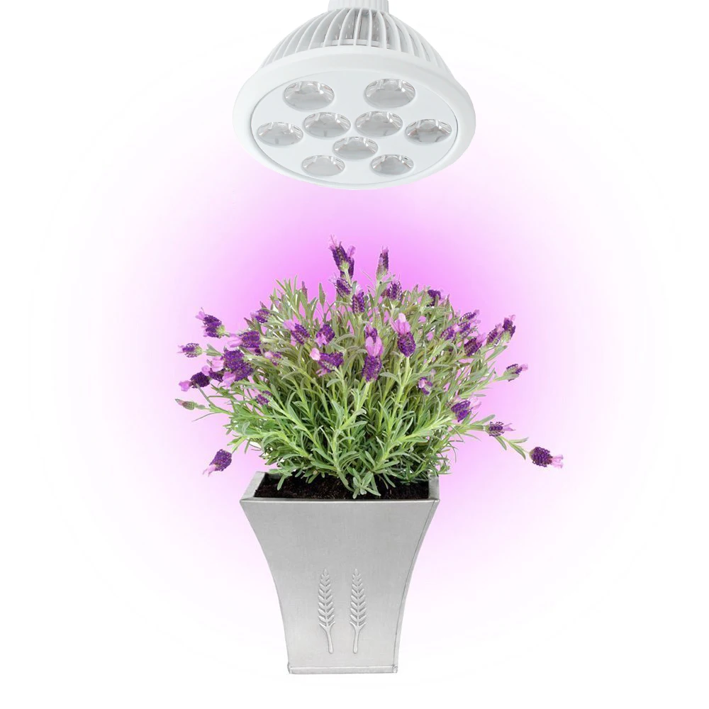 

LED Grow Light 7W 9W 12W E26 E27 Plant Grow Light Full Spectrum Led Grow Lamp for Indoor Plants Hydroponic Garden Greenhouse