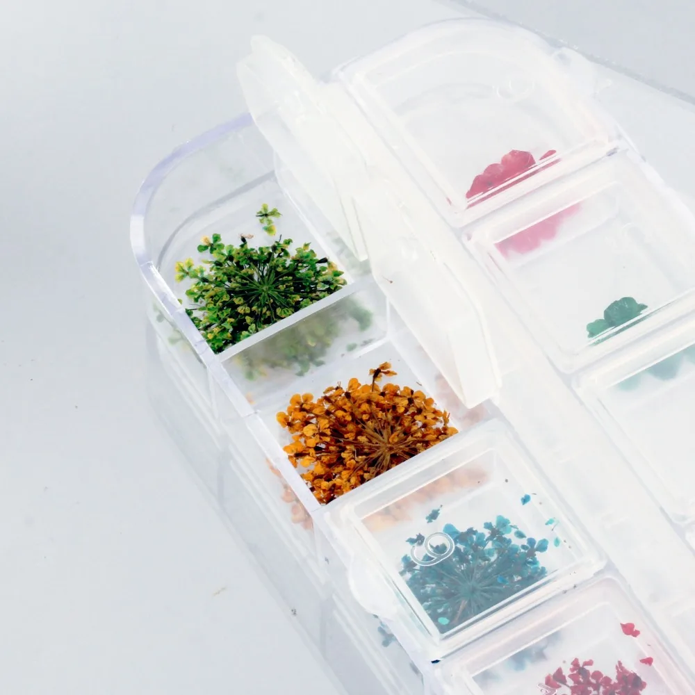 

Candy Lover Real Nail Dried Flowers Nail Art Decoration DIY Tips With Box Small Flowers Nails Tools Rhinestones Decorations