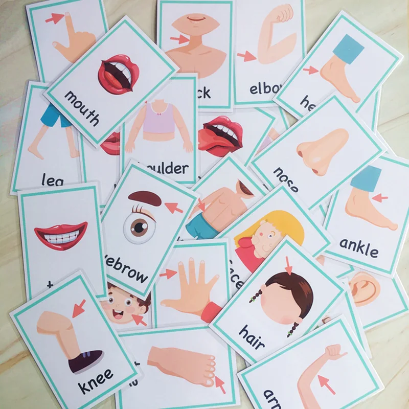 Educativos para Crianças Plurais Profissão Grupos Substantivo Inglês Crianças Bolso Palavra Flashcards Montessori Aprendizagem Brinquedos Jogo 99 Pcs 13 Crianças Bolso Palavra FlashCards Montessori Aprendizagem Brinquedos Educativos Para Crianças Jogo