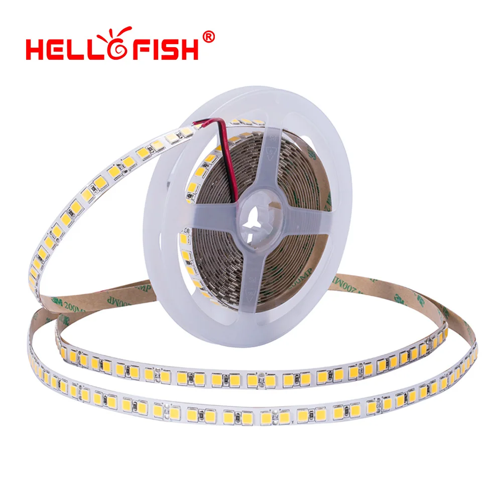 High brightness 5054 led diode strip light waterproof DC 12V flexible