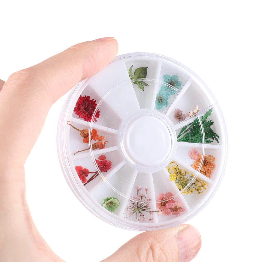 24PCS/Wheel Dried Flower 3D Manicure Nail Art Decoration Polish Summer Real Preserved Floral Leaf Mixed Dry Bloom Tips | Красота и