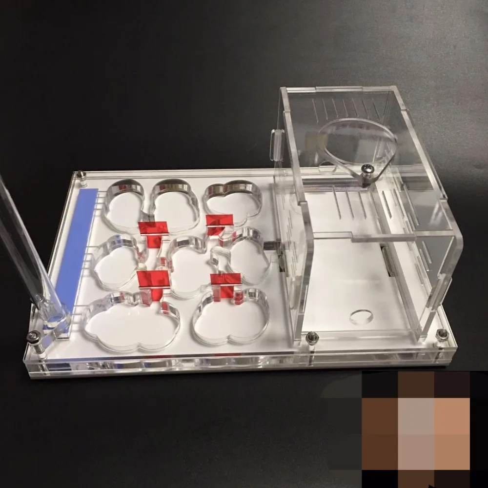 white-flat-ant-nest (3)