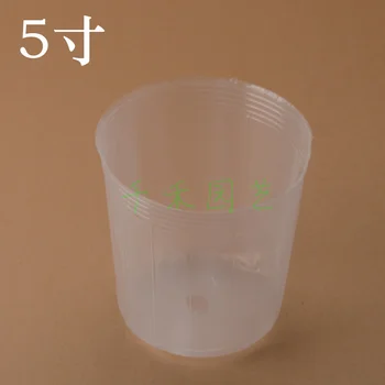 

Dendrobium flower pots nutrition bowl nursery bags 5-inch transparent Nursery Cup