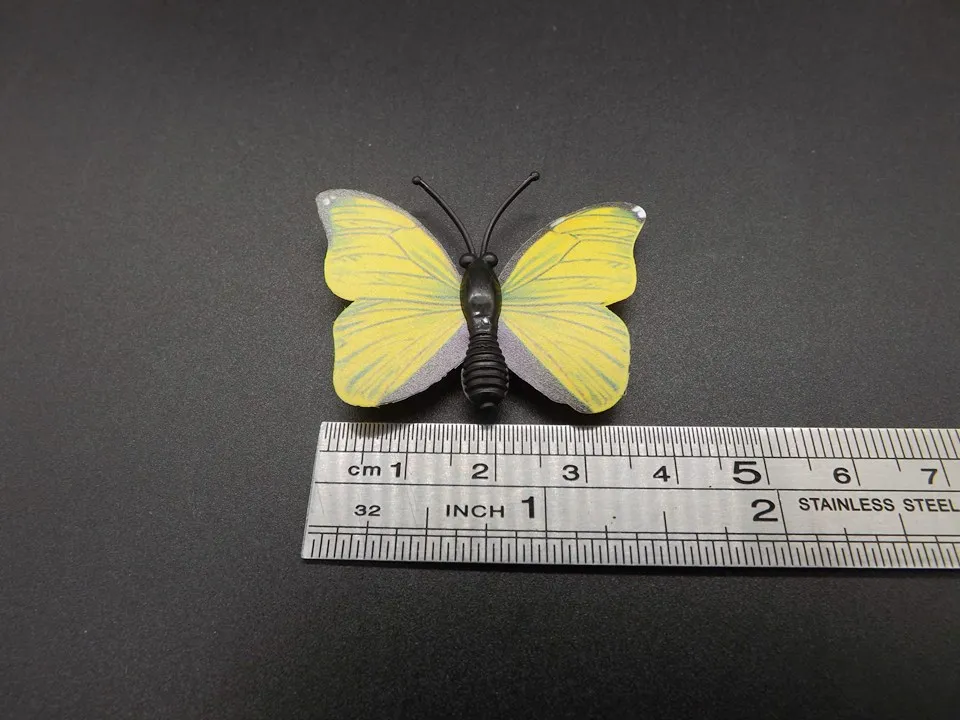 I259-Butterfly (10)