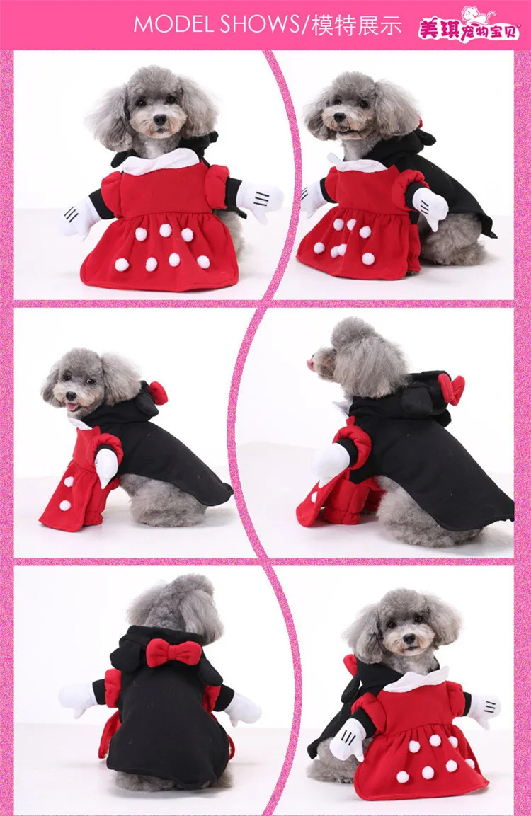  dog clothing 21