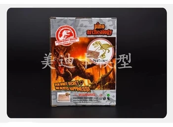 

8pcs set Archaeological grub dinosaur fossil Child DIY skeleton model free shipping
