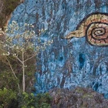 Cuba  Pinar del Rio  Vinales  Mural de Prehistoria Poster Print by Walter Bibikow (28 x 19)