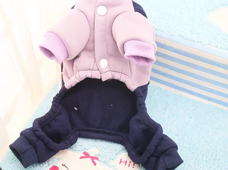 3610463505_799069744