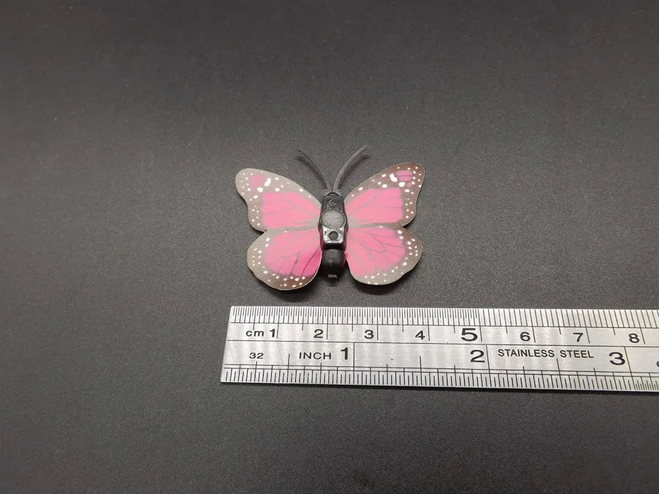 I249-Butterfly (13)