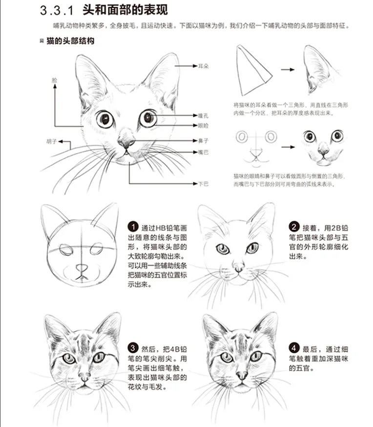  Pencil sketch books Beginner introductory teaching tutorial Pencil drawing books sketch basic book - 32844245662