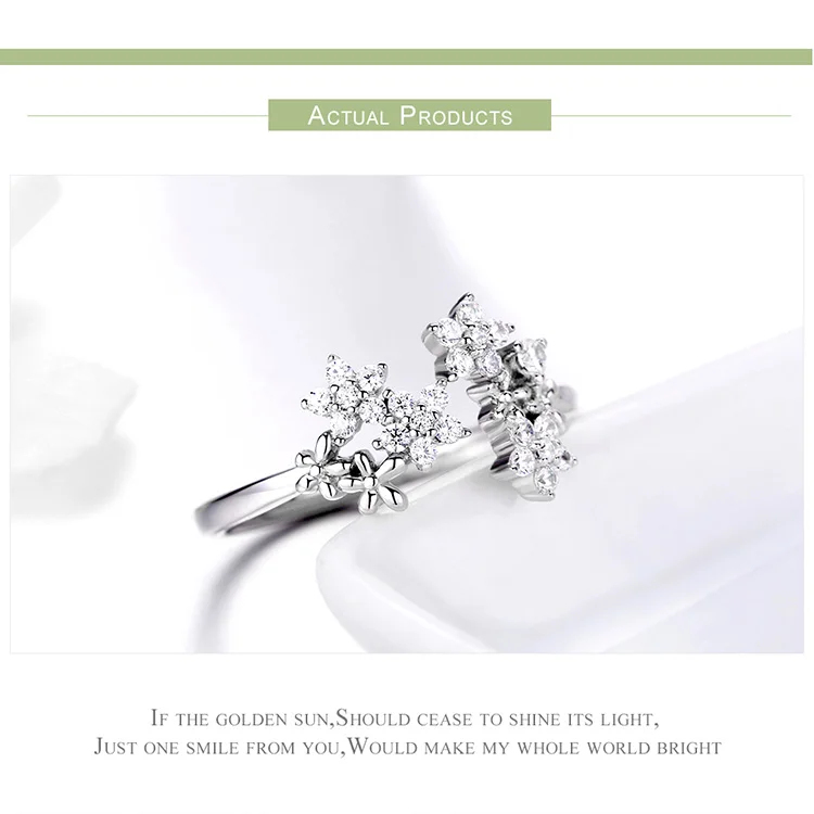 BSR021+BSN028+BSE030_06