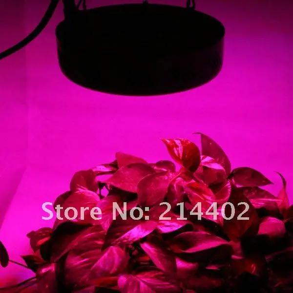 Акция 5 полоса 50 Вт(50*1 Вт) Led Grow Light, высокое качество с 3 лет гарантии, дропшиппинг