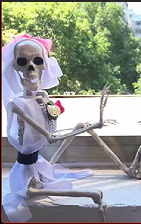 Хэллоуин скелет невесты и жениха пластиковые реалистичные человеческие кости Статуэтка-череп для украшения-ужастики для хеллоуина День Дурака - Цвет: 1 Skeleton and Dress