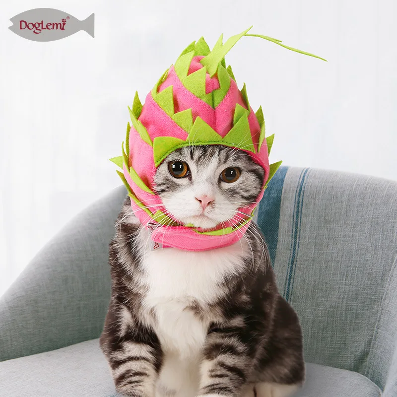 1 шт cat щенок фрукты платье шапка дракон Форма Pet Головные уборы одежда для