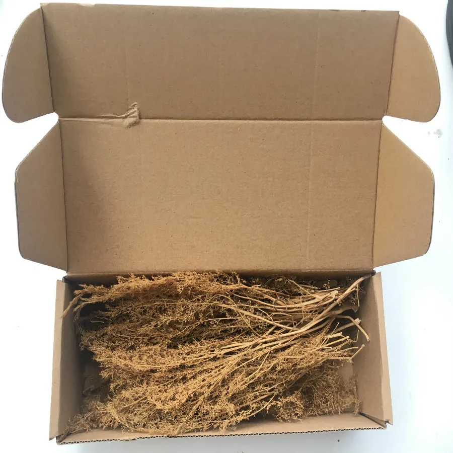 architecture new model grass (14)
