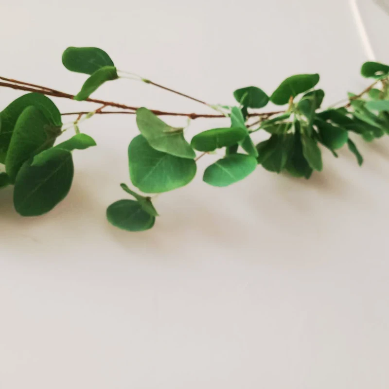 Artificial Ivy Leaf Eucalyptus Leaves Home Decor Wedding Decoration Plants Plastic Green Long Vine Fake Foliage Handmade 180cm