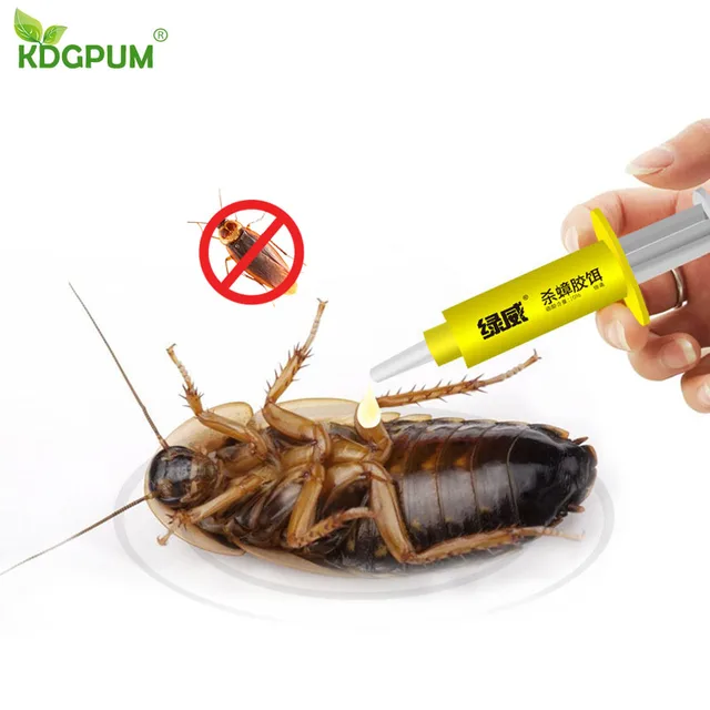 cock roach bait Cock roach bait