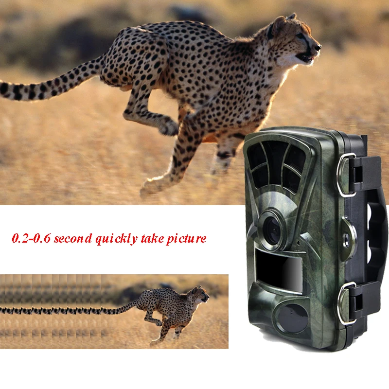 Охота Камера 16MP 1080 P животного Камера дикой природы Scouting след Камера ИК Ночное видение Широкий формат Камера Камара бункер