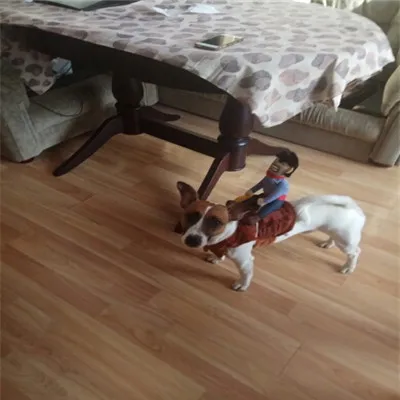4030